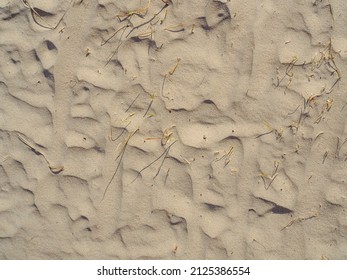 Dunes top view texture with dune grass. Sand background with wind waves on surface - Powered by Shutterstock