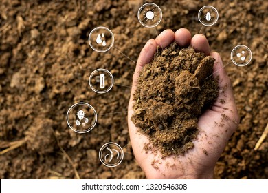 Dung or manure with technology, icons about decomposition become soil around. - Shutterstock ID 1320546308