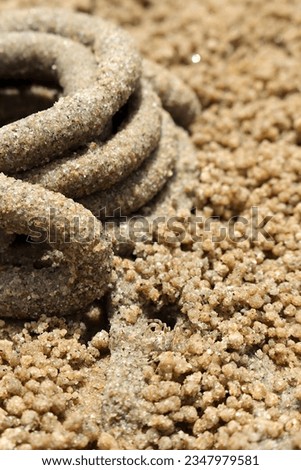 The dung of sea worms roll in a circle on the sand. There are small sand balls caused by sand crab scattered everywhere. If you look closely, you will see small crabs beside the dung.