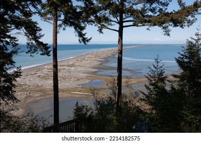 Dungeness Spit, Olympic Peninsula, WA, USA