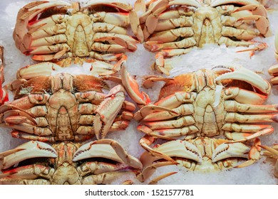 Dungeness Whole Crabs On Seafood Market In Seattle, WA