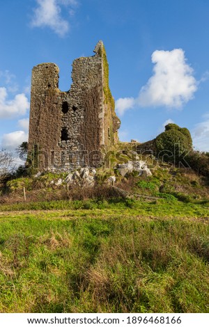 Dunhill Castle ruins, Annestown, Ireland