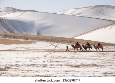 Dunhung, China : Camel walk  in Gobi desert with Sand mountain covered with snow background