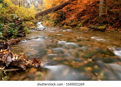 Dunnfield Creek, Delaware Water Gap, New Jersey