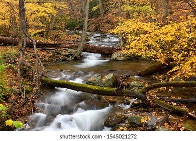 Dunnfield Creek, Delaware Water Gap, New Jersey