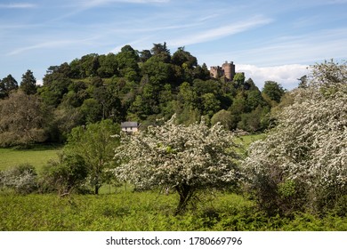 Dunster Castle Overlooking Exmoor Landscape With Flowering Trees