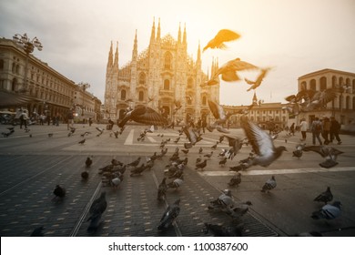 Duomo di Milano (Milan Cathedral) in Milan , Italy . Milan Cathedral is the largest church in Italy and the third largest in the world. It is the famous tourist attraction of Milan, Italy.