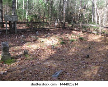 DuPont Forest Brevard,Nc Is Where This Is Taken