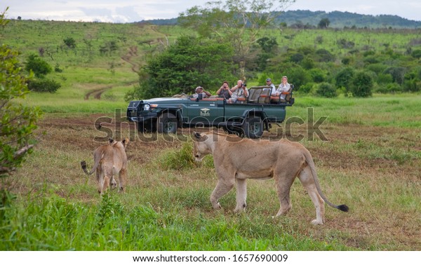 DURBAN- SOUTH AFRICA- FEBRUARY 12, 2020: Wildlife\
photographers in a park which near Durban İn South Africa take\
photographs of wild animals\
here.