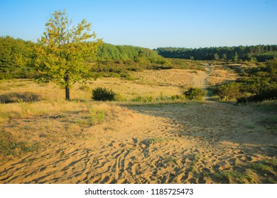 Durdevacki Peski Desert In Croatia, Region Podravina.