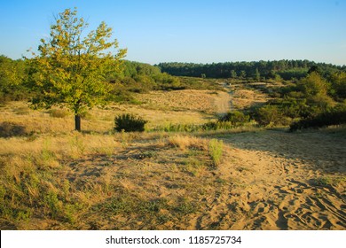 Durdevacki Peski Desert In Croatia, Region Podravina.