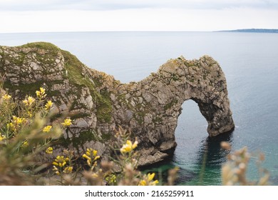 Durdle Door Rock Formation Near Lulworth Cove On The Jurassic Coast South Coast England, UK. Yellow Flowers In The Foreground For Extra Pop Of Colour And Vibrance. Shot In June 2022 HD Landscape.