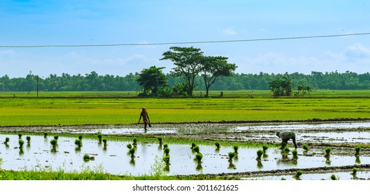 2,032 West Bengal Farmers Images, Stock Photos & Vectors | Shutterstock