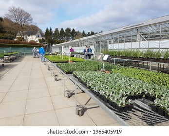 Durham  Great Britain - April 24, 2021 : Trolley With Plants In Display Area Of Garden Centre Nursery.