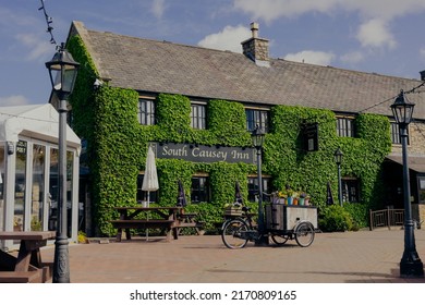 Durham UK: 17th May 2022: South Causey Inn Pub Restaurant Exterior Covered In Green Ivy On Sunny Summer Day