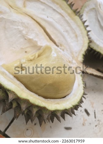 Durian (durio zibethinus) is a fruit native to Southeast Asia that is unique and controversial, starting from the fruit's texture, skin, to its aroma.