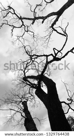 Similar – Image, Stock Photo mind catcher Gray