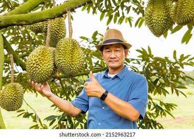 Durian Farmer With Durian Fruit On The Farm