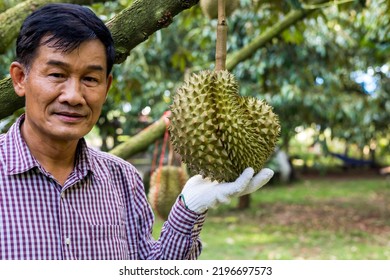 Durian Farmer With Durian Fruit On The Farm