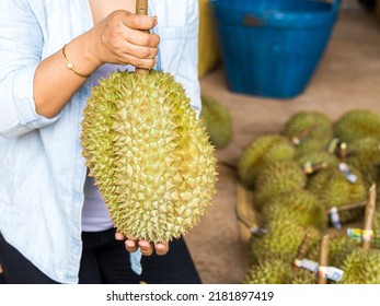 Durian Farmer Sell Durian At The Market