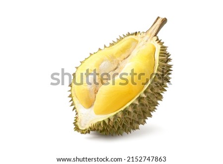 Durian fruit cut in half  isolated on white background. Clipping path.