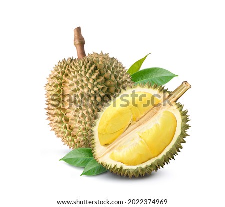 Durian fruit with cut in half and leaves  isolated on white background.