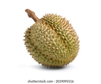 649 Durian husk Images, Stock Photos & Vectors | Shutterstock