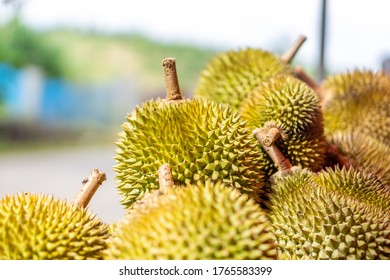 Durian Fruit On A Display At Local Street Hawker Stand