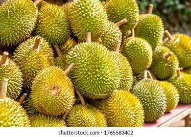 Durian Fruit On A Display At Local Street Hawker Stand