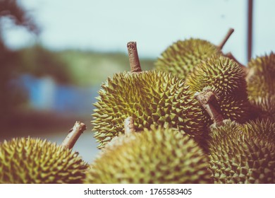 Durian Fruit On A Display At Local Street Hawker Stand