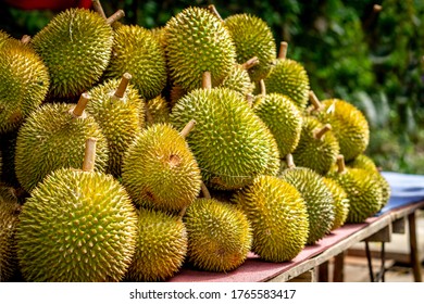 Durian Fruit On A Display At Local Street Hawker Stand