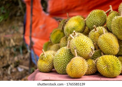 Durian Fruit On A Display At Local Street Hawker Stand