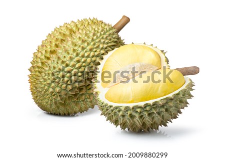 Durian fruit and ripe durian cut in half with pulp isolated on white background. 