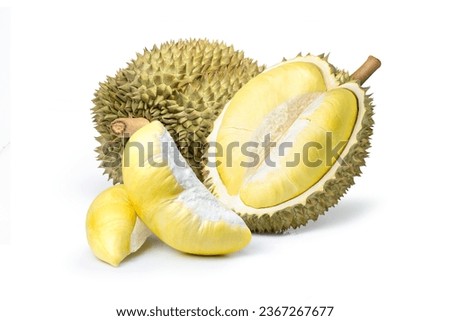 Durian fruit and ripe durian cut in half with pulp isolated on white background. 