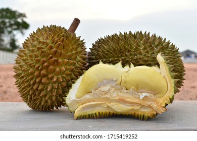 Golden Pillow Durian Images Stock Photos Vectors Shutterstock