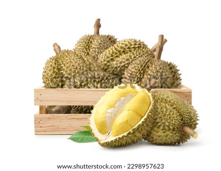Durian fruits in wooden crate with cut in half isolate on white background. 