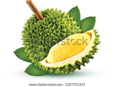Durian isolated from white background