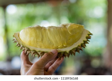 130 Durian Balloon Images, Stock Photos & Vectors | Shutterstock