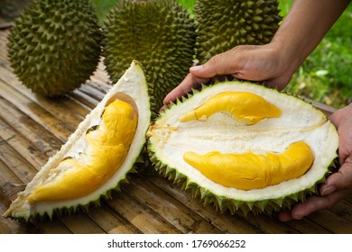 2,952 Durian shape Images, Stock Photos & Vectors | Shutterstock