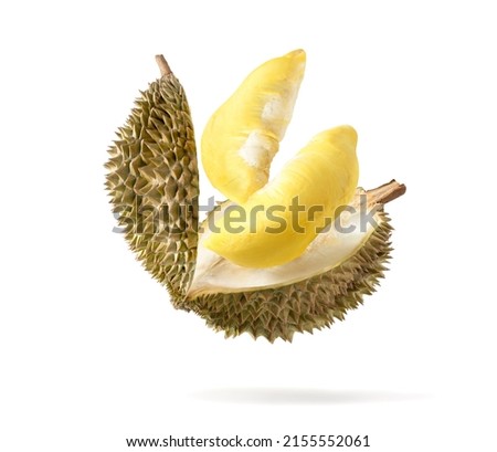 Durian pulp levitate isolated on white background. 