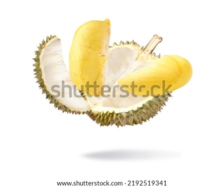 Durian pulp levitate isolated on white background.  Clipping path.