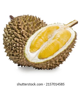 Durian XO Musang King Commercial Product