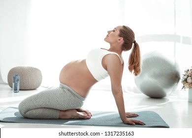 During exercise. Active long-haired woman with ponytail arching her back during yoga session and pushing pregnant belly