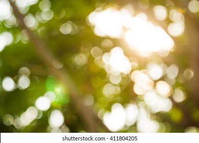 During the late afternoon sun shining through the trees. LakÃ Â¸Â©a Becket-blur with Optical Flare .