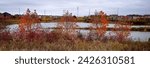 During a leisurely nature walk along the Mount Pleasant Recreational Trail in Brampton, I discovered a tranquil pond.Its mirrored surface captured the essence of the Autumn season. Edited in Lightroom