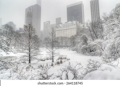 During Snow Storm In Central Park, New York City