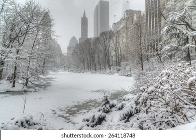 During Snow Storm In Central Park, New York City