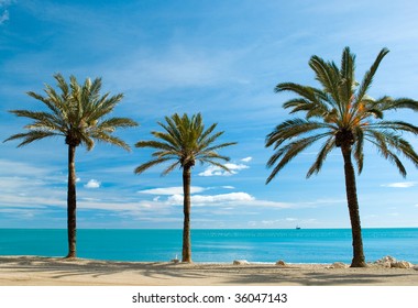 During The Winter At Malaga Beach