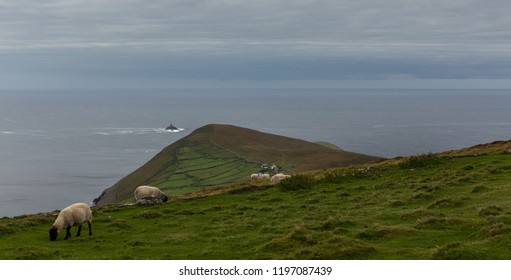 Dursey Island, Ireland