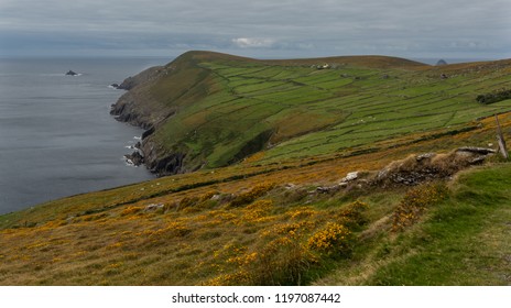 Dursey Island, Ireland